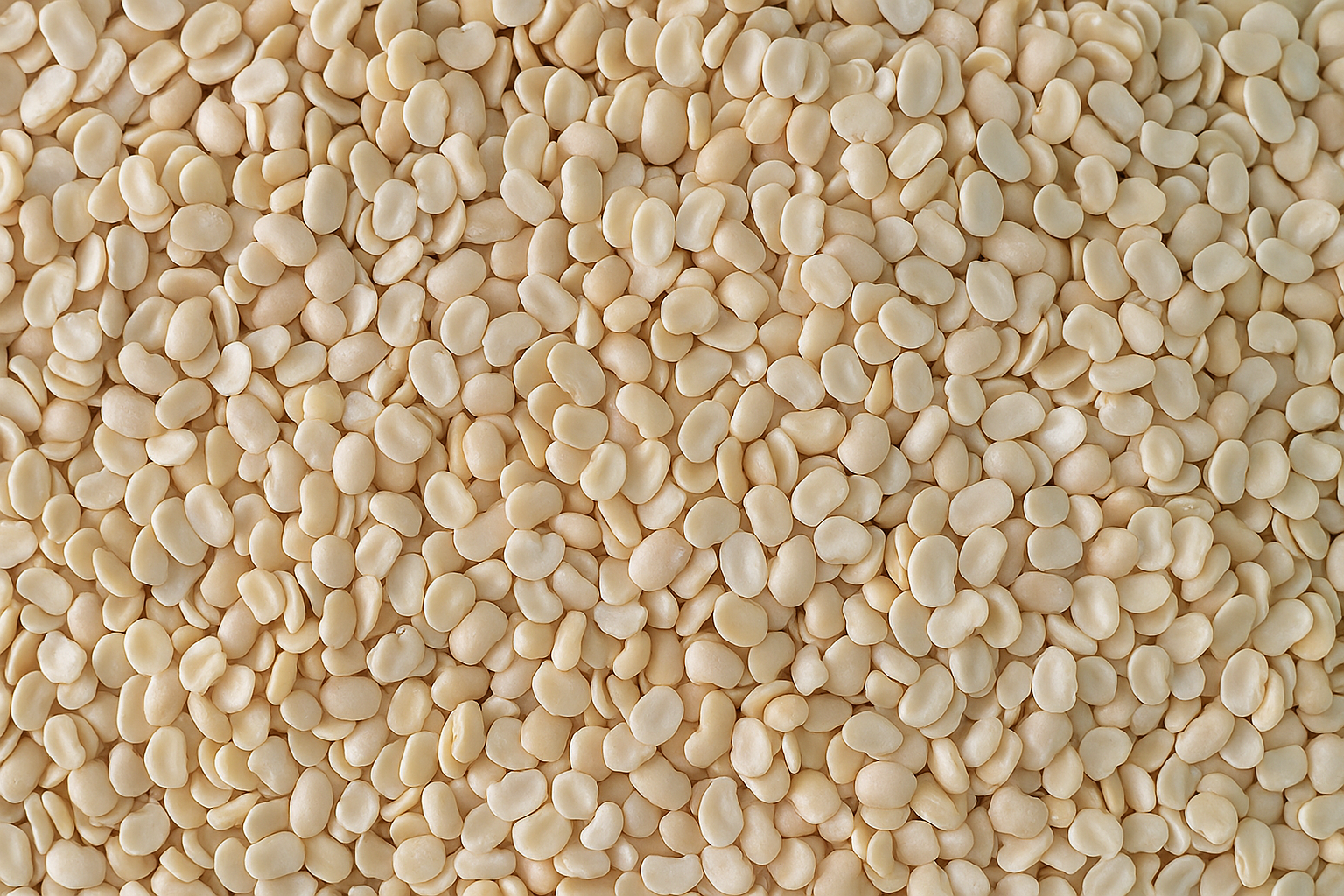 Lobia Dal (Split Black-Eyed Peas)